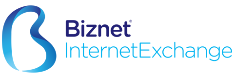 BIZNET IX